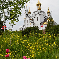 Свято-Троицкий храм. Строительство